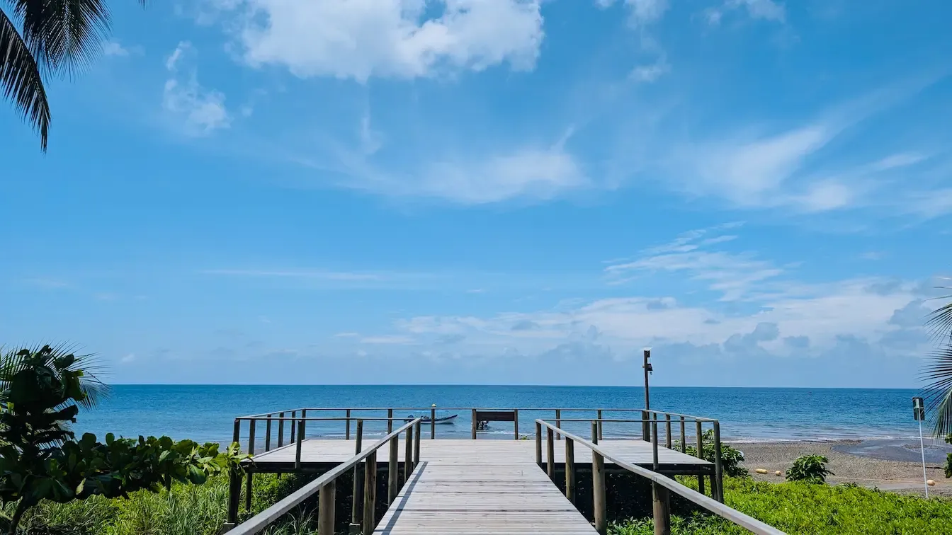 Gorgona Island, protected area of the Colombian Pacific
